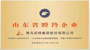 山东省羚企业